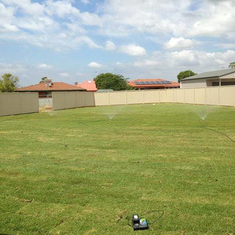 Orana Turf - Car Shop 1