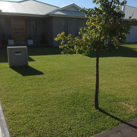 Orana Turf - Car Shop 2