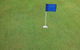 Bay Turf - thumb 1