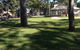 Bay Turf - thumb 2