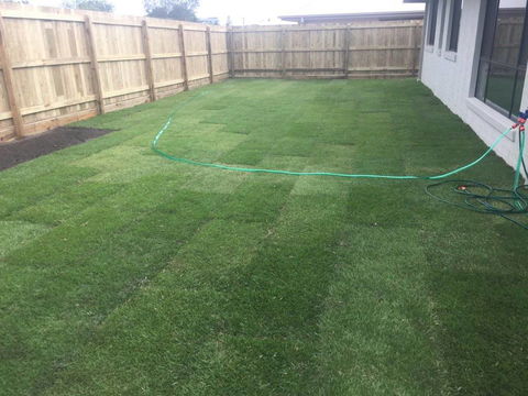 Bay Turf - Car Shop 4