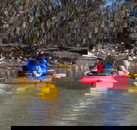 Canoe the Riverland - Kayak  Canoe Hire - Car Rental