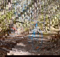 Forrest Hire Bikes - Car Rental