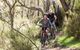 Specialised Bike Hire At Lake Crackenback Resort And Spa - thumb 1