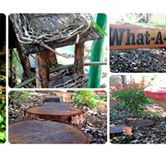Willmore Kindergarten  Preschool - Newcastle Child Care