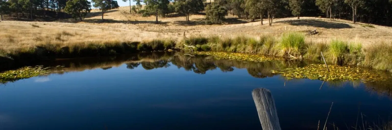 Hepburn Springs