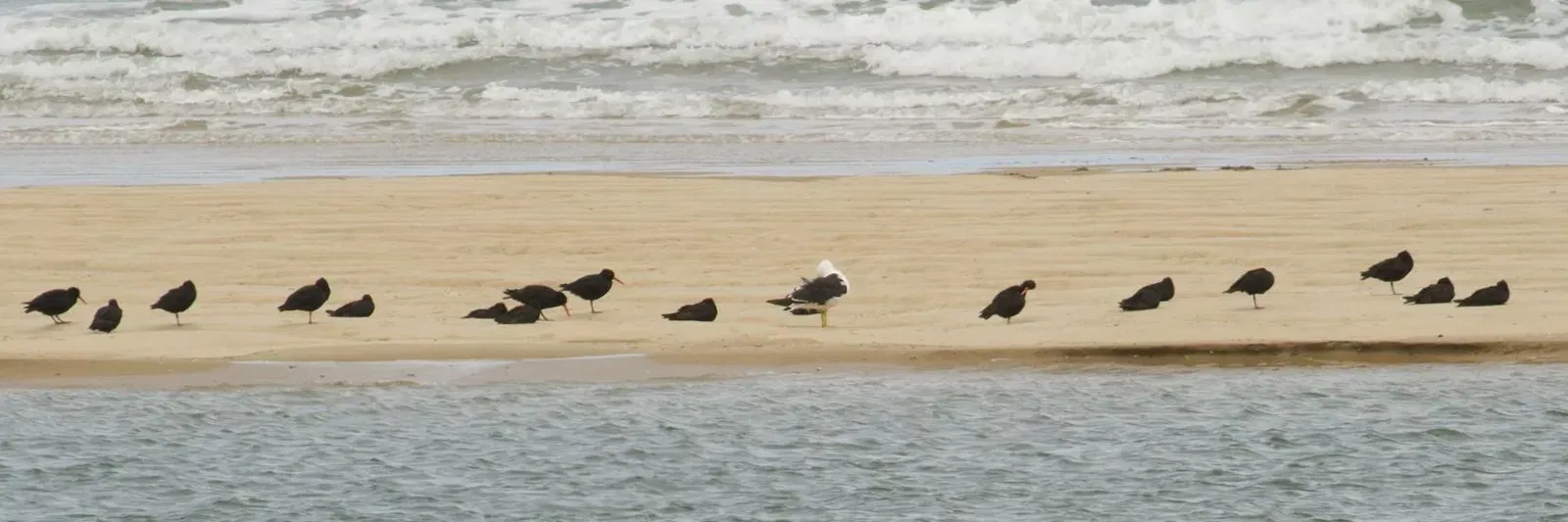 Inverloch