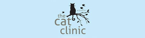 The Cat Clinic - Cairns Dentist 0