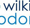 Wilkinson Orthodontics - Cairns Dentist