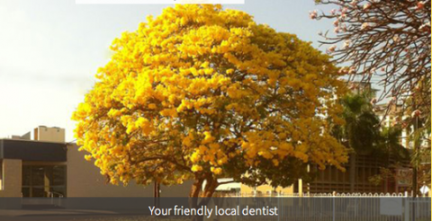 Smith Street Dental Practice - Cairns Dentist 2