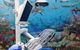 Blue Sky Dental Care - thumb 5
