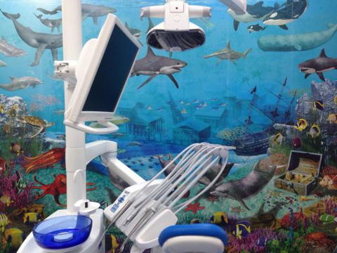 Blue Sky Dental Care - Cairns Dentist 5