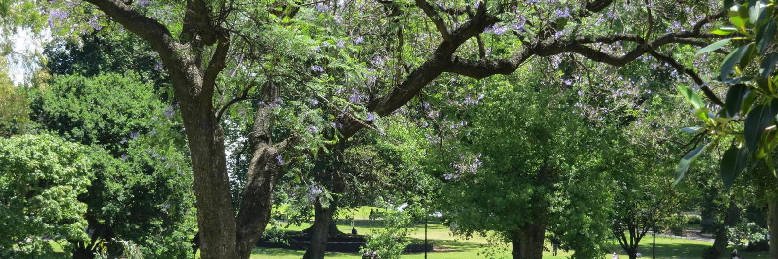 West Melbourne