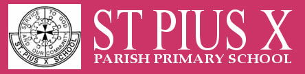 St Pius X School  - Canberra Private Schools 0