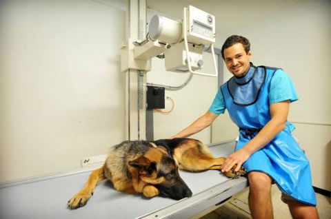 Pacific Vetcare - School Education 0