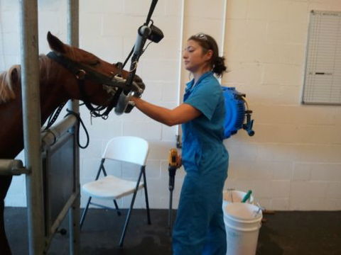 Pacific Vetcare - School Education 9