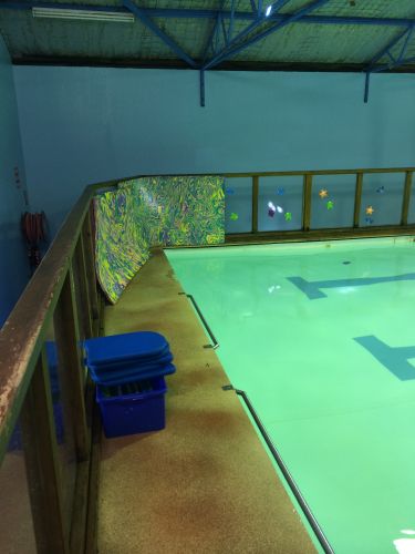 Shane Dowel’s Swim School - Canberra Private Schools 1