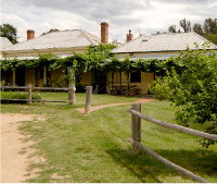 The Blue Duck Inn Hotel - Mount Gambier Accommodation 0