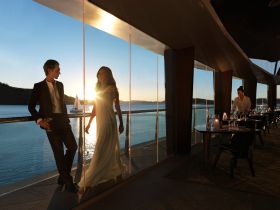 Hamilton Island Yacht Club Logo and Images