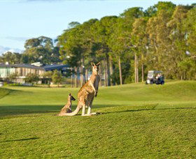 Sanctuary Cove Golf and Country Club Logo and Images
