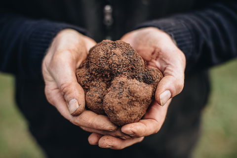 A Taste Of Truffles - WA Accommodation 0