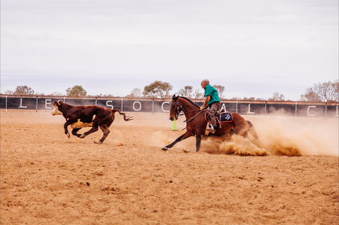 Birdsville Campdraft,  Rodeo And Bronco Branding - Tourism Bookings WA 0