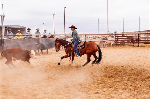 Birdsville Campdraft,  Rodeo And Bronco Branding - Tourism Bookings WA 2