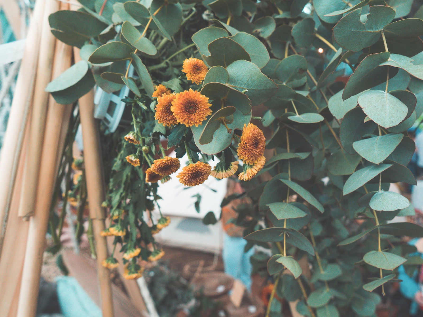 Boho Luxe Market Logo and Images
