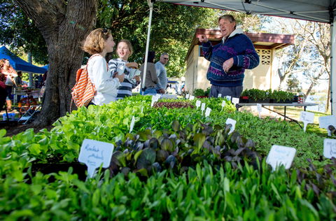 Gladstone Quality Markets - Holiday Melbourne 2