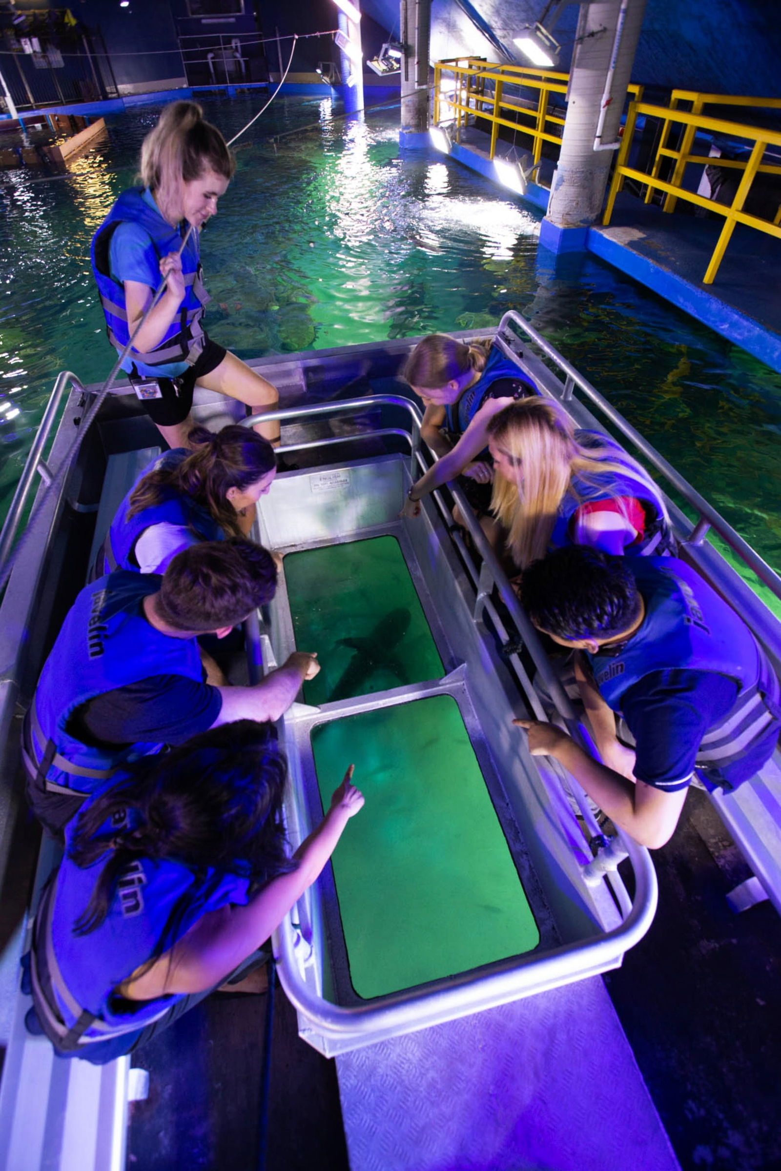 Glass Bottom Boat Tour Logo and Images