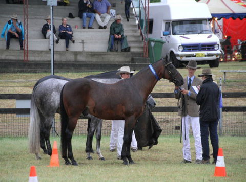 Gresford Agricultural Show - Pubs Sydney 1