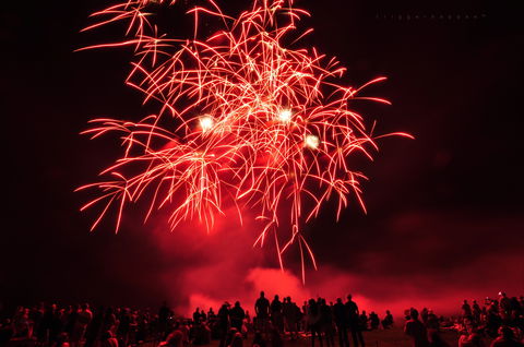Leeton Sunrice Festival - Mount Gambier Accommodation 2