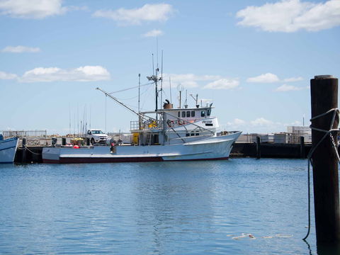 Love Sea Food Port Stephens - Casino Accommodation 1