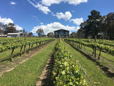 Mortimer's Diploma Of Taste - Victoria Tourism 0