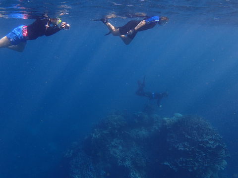 Project Manta Ningaloo Reef, Western Australia - Holiday Sydney 1