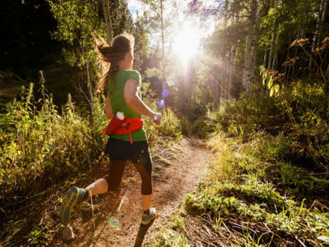 Run Dungog - Accommodation Broken Hill 0