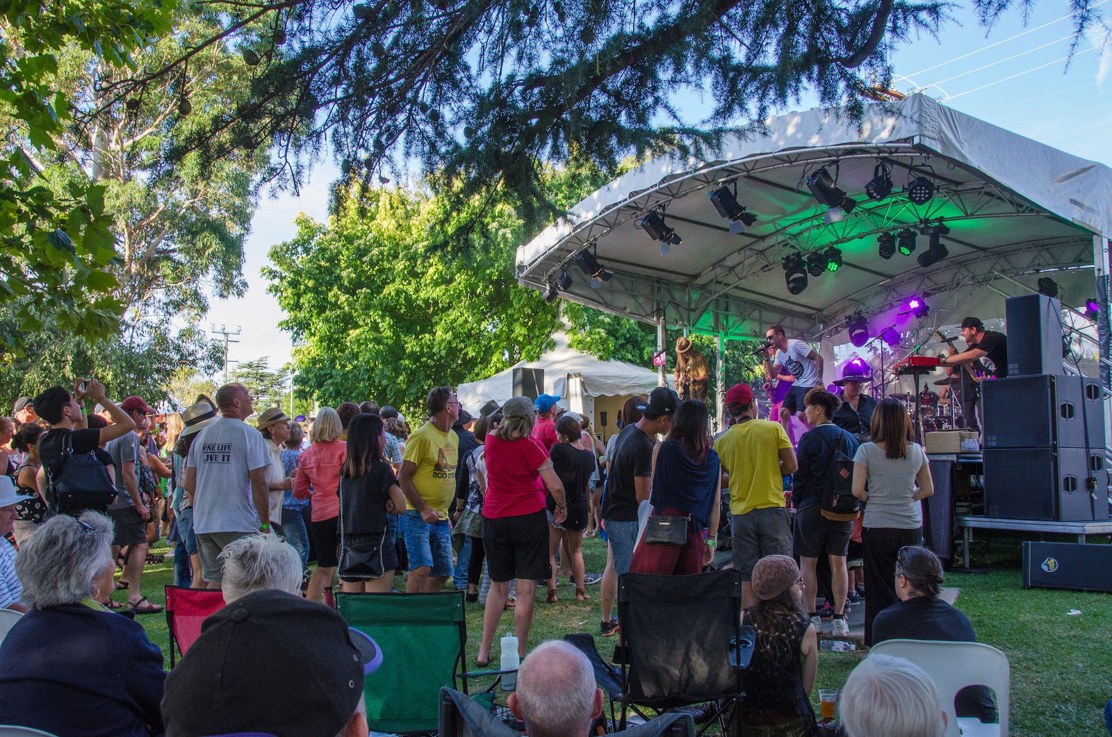 Stanthorpe Apple and Grape Harvest Festival Logo and Images