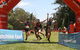 Trail Run Australia | Sunshine Coast - thumb 0