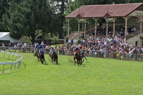 Tumut Derby Day - Accommodation Broken Hill 0