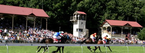 Tumut Derby Day - Accommodation Broken Hill 1