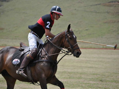 Wirragulla Annual Polo Tournament - Tourism Bookings 0