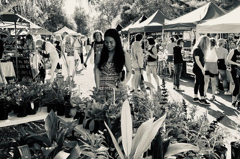 Yamba Farmers And Producers Market - Redcliffe Tourism 0