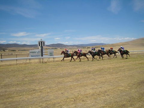 Adaminaby Cup Race Day - Tourism Listing 0