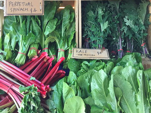 Albury Wodonga Farmers Market - VIC Tourism 0