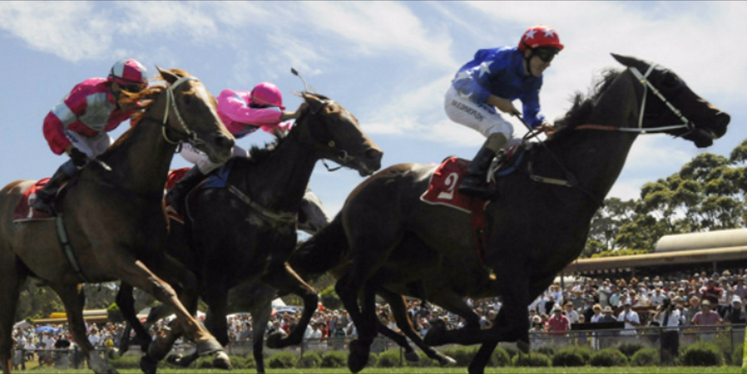 Batemans Bay Cup - thumb 0