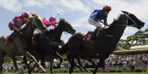 Batemans Bay Cup - Bundaberg Accommodation 0