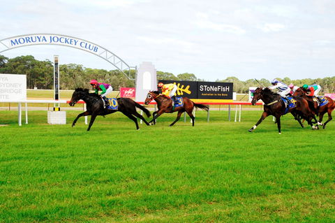 Batemans Bay Cup - Bundaberg Accommodation 2