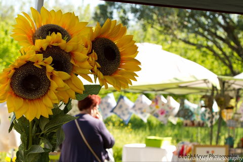 Blackville Arts And Market Day - Accommodation Port Macquarie 0