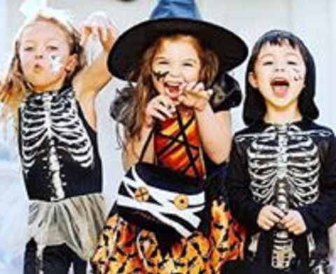 Boo! At The Zoo! - Accommodation Sydney 2