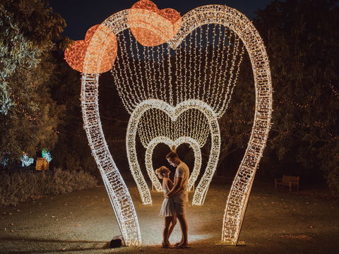 Christmas Lights Spectacular New Year's Eve At Hunter Valley Gardens - Holiday Perth 1